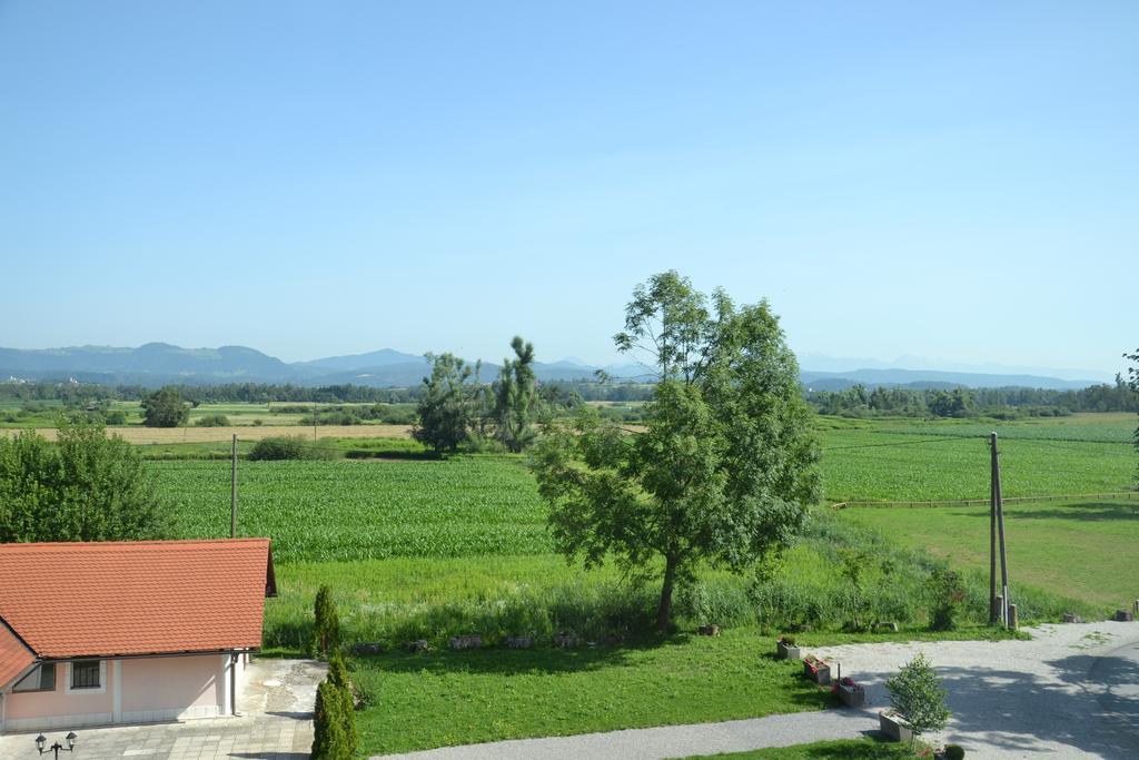 Guesthouse Bistra Vrhnika Pokoj fotografie